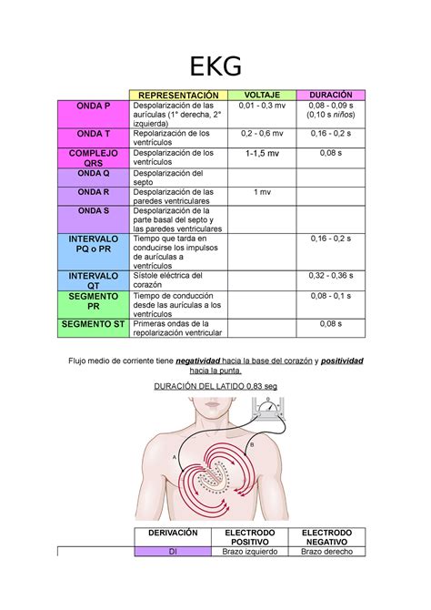 Ekg Ondas Intervalos Segmentos Y Derivaciones Ekg Representaci N