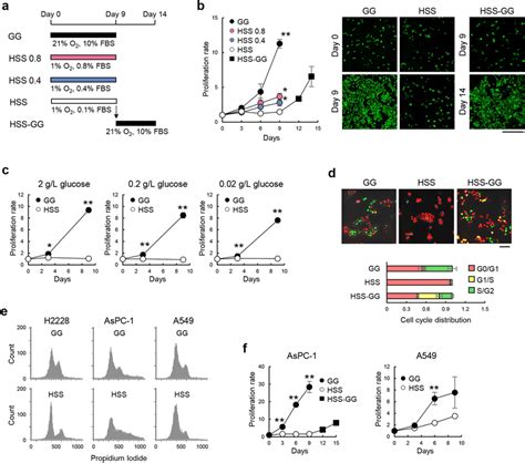 H And Aspc Cells Were Induced To A Reversible Quiescent State