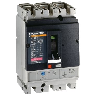 Ns N Schneider Electric Circuit Breaker Eltra Trade