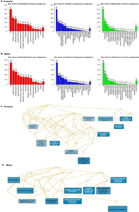 Figure 5 From Potential Similarities In Sex Difference In Key Genes And