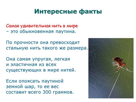 Про нитки - online presentation