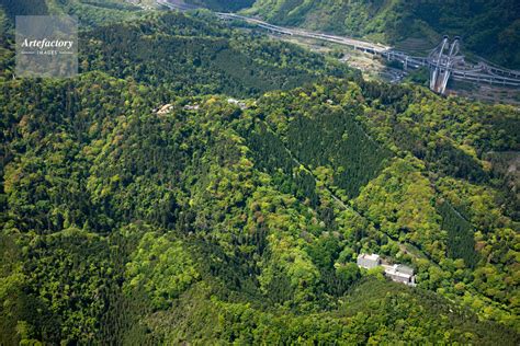 新緑の高尾山