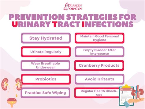 Prevention Strategies For Urinary Tract Infections Garden Obgyn Obstetrics