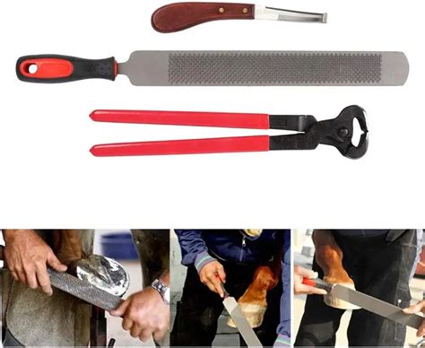 Professional Horse Farrier Hoof Trimming Tool Kit Perfect - Temu