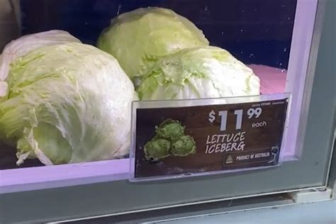 Why Heads Of Iceberg Lettuce Are Going For 12 And When Prices Will Fall