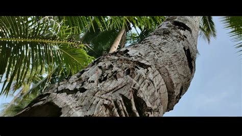 Mariadei Beach Serui Papua Youtube