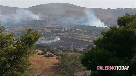 Incendio A Bolognetta Ettari Di Macchia Mediterranea In Fumo Lambite