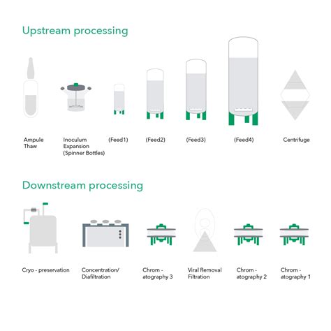 Pharsol What Is The Difference Between Upstream And Downstream