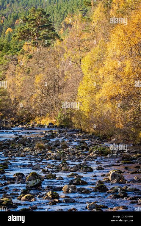 River Affric and autumn colours in Glen Affric Stock Photo - Alamy