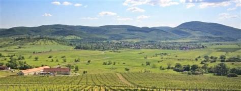 Tokaj wine region - Alchetron, The Free Social Encyclopedia