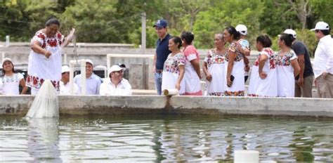 Gobernador De Yucat N Visita Granja Del Cultivo La Verdad Noticias