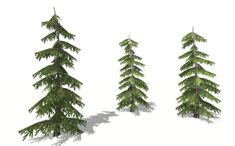 3d Realistic Pine Tree Turbosquid 1517322