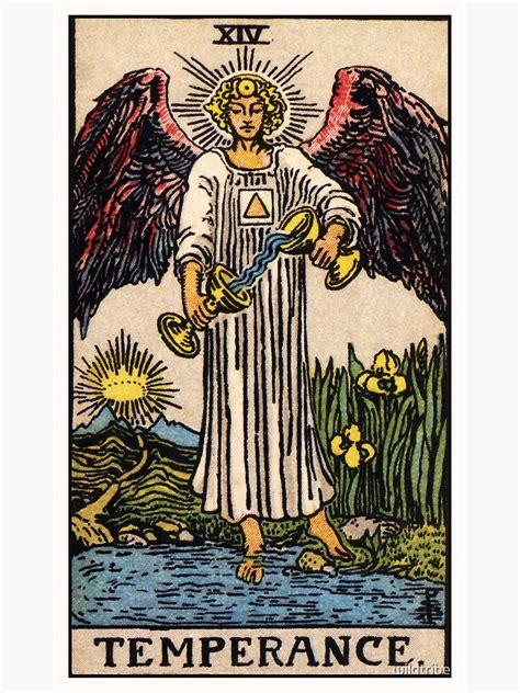 XIV Temperance Tarot Card Poster Von Wildtribe Redbubble