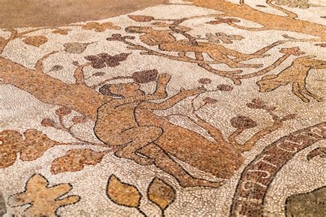 Il Mosaico Di Otranto L Albero Della Vita Infolecce It