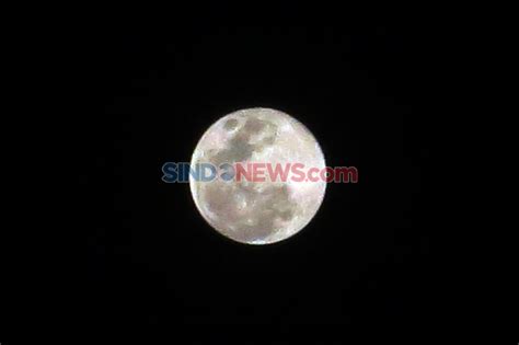 Foto Melihat Fenomena Supermoon Terakhir Di Tahun