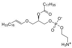 Plasmalogen - Wikipedia | Cells and tissues, Study of tissues, Reactive ...