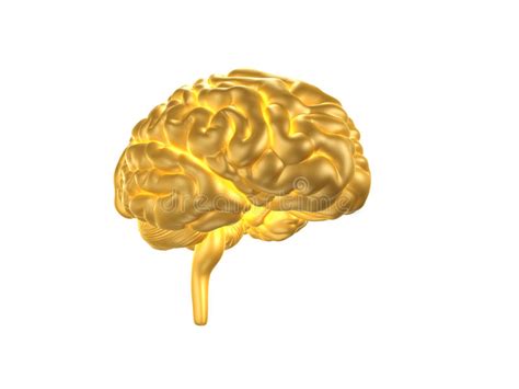 Golden Brain Stock Illustration Illustration Of Radiant