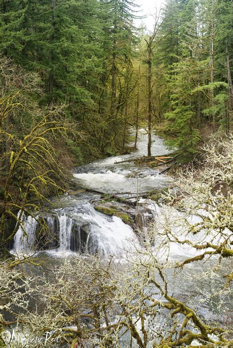 Pothole Falls Lacamas Creek Camas Washington Magneticred Flickr