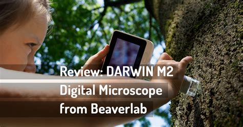 Review Darwin M Digital Microscope From Beaverlab Wildmacro