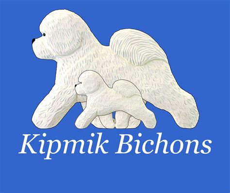 Kipmik Bichons Bichon Frise Puppies For Sale In Simi Valley Ca Akc