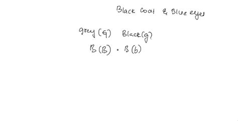 SOLVED: Genotype and ratio Phenotype and ratio Question: Dominate ...