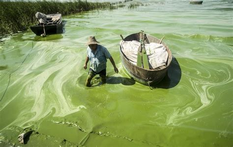 Pollution In China Is Out Of Control: 33 Shocking Photographs