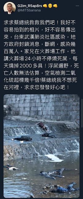 【謠言】台東武漢肺炎社區感染浮屍照片？政府封鎖消息？電影劇照 Mygopen