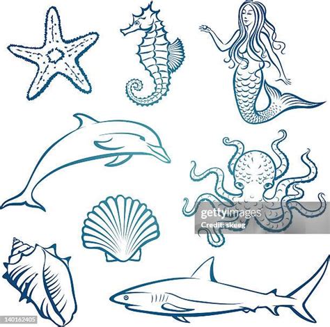 3,856 Sea Creatures Drawing Stock Photos, High-Res Pictures, and Images ...