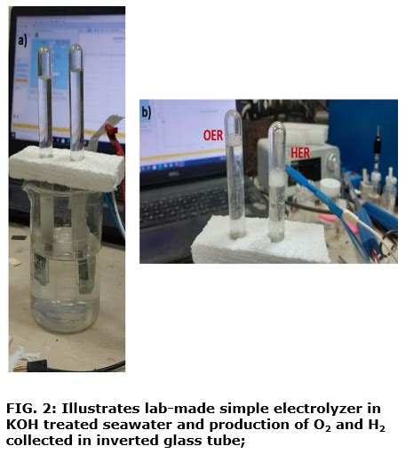 Idf No An Electrolyzer System With Nonprecious Electrocatalysts