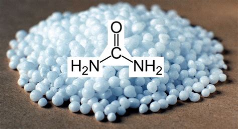 Urea (мочевина) в косметике для лица, волос. Что это такое, вред, польза