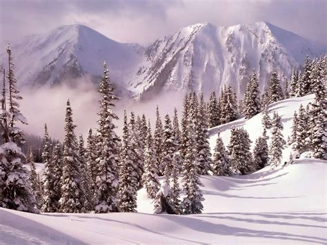 [1000+] Winter Wallpapers | Wallpapers.com
