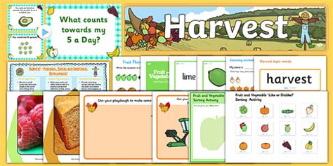 Early Years Harvest Teaching Pack Teacher Made Twinkl