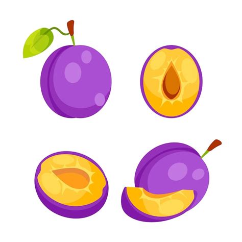 Premium Vector This Illustration Shows Four Purple Plums Some Sliced