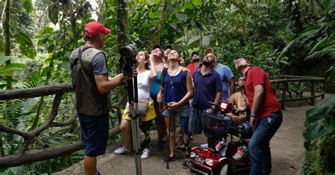 Hanging Bridges Guided Tour At Mistico Park GetYourGuide