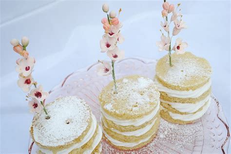 Naked Mini Cakes Tiered Cakes Mini Cakes Vanilla Cake