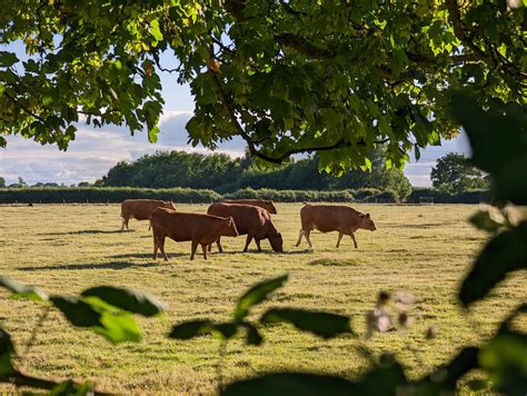 planning — Hatton Parish Council