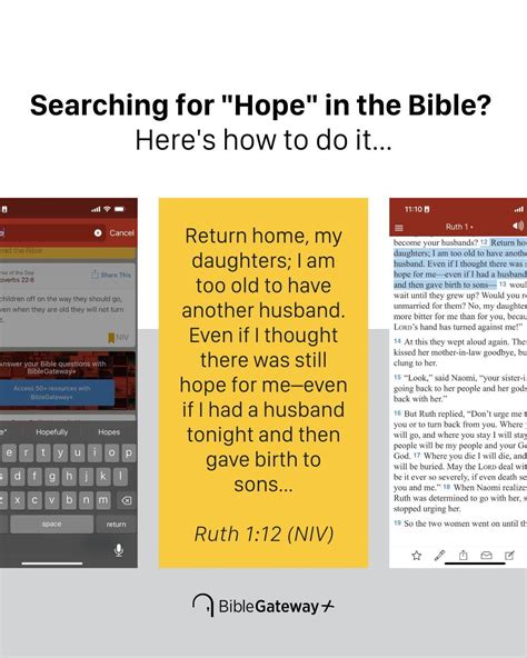 Bible Gateway | Digital Bible Study Tool (@biblegateway) • Instagram ...