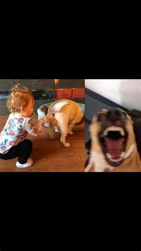 When She Try S Anal For The First Time GAG