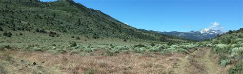 Barney Riley To Carson River Hot Springs California AllTrails