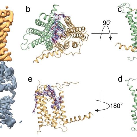 Structure Of Fpn Bound To PR73 A Cryo EM Density Map Of HsFpn In