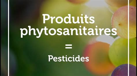 Produits Phytosanitaires YouTube