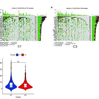 Identification Of Immune Based Subtypes Of LUAD A Identification Of