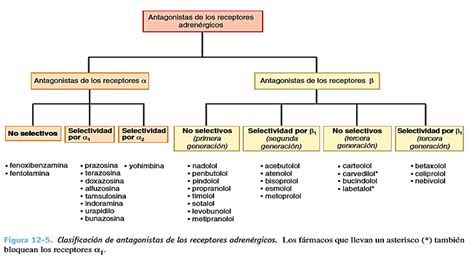 Antagonistas α1 adrenérgicos Mind Map