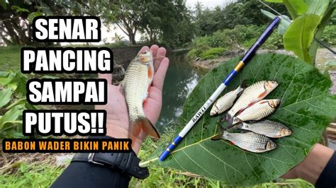 Spot Pinggir Jalan Ikannya Babon Babon Mancing Ikan Wader Pakai