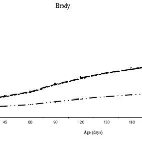 Growth Curve For The Live Weight Values Estimated Of The Lambs Born In