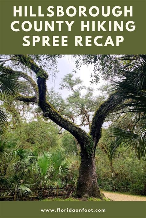 Hillsborough County Hiking Spree 2021-2022 Recap | Florida state parks ...