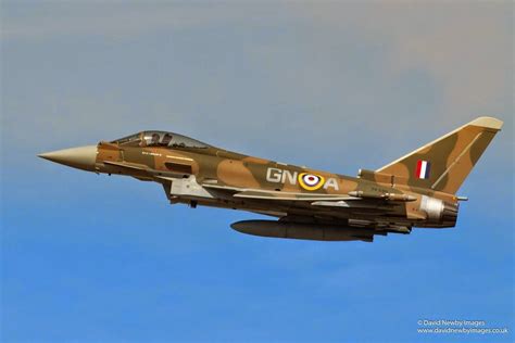 Dora 9 Diecast: An RAF Typhoon gets a Battle of Britain camo scheme.