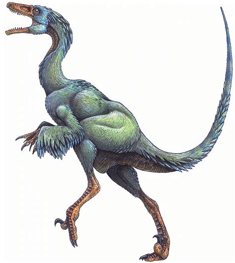 Troodon | Feathered dinosaurs, Prehistoric animals, Dinosaur facts