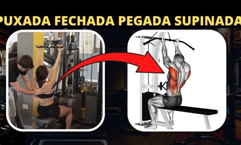 Puxada Aberta E Fechada - Puxada fechada supinada: Como fazer, músculos e dicas para ...