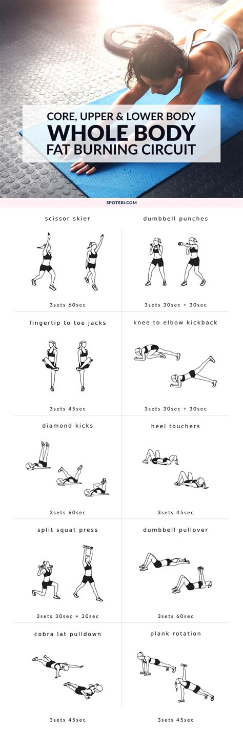 Full Body Circuit Workout For Weight Loss Circuit Diagram